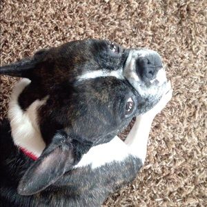 Meet your Posher, Avery